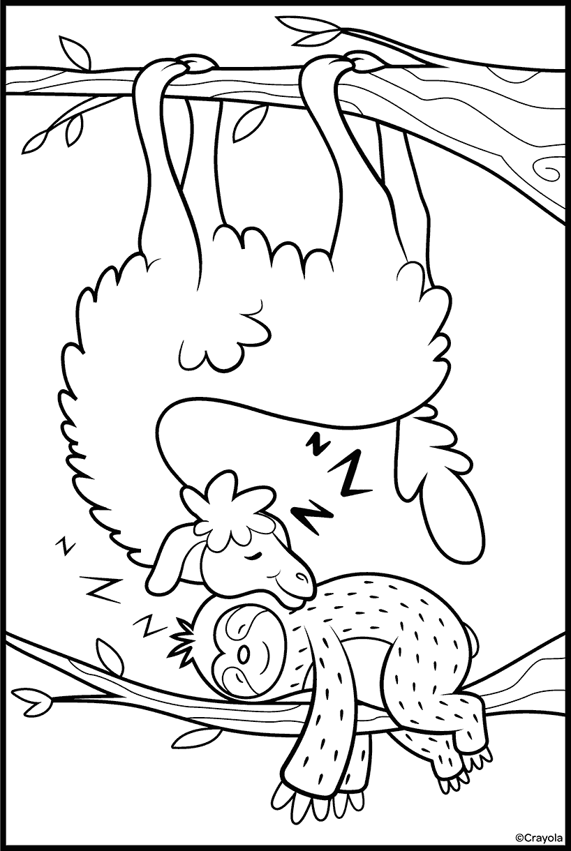 A los perezosos les encanta la hora de la siesta de las llamas